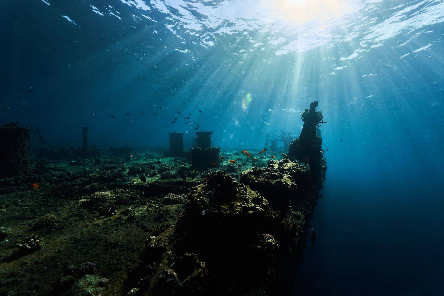 затонувший корабль, подводное фото, рекдайвинг, Павел Карчевский