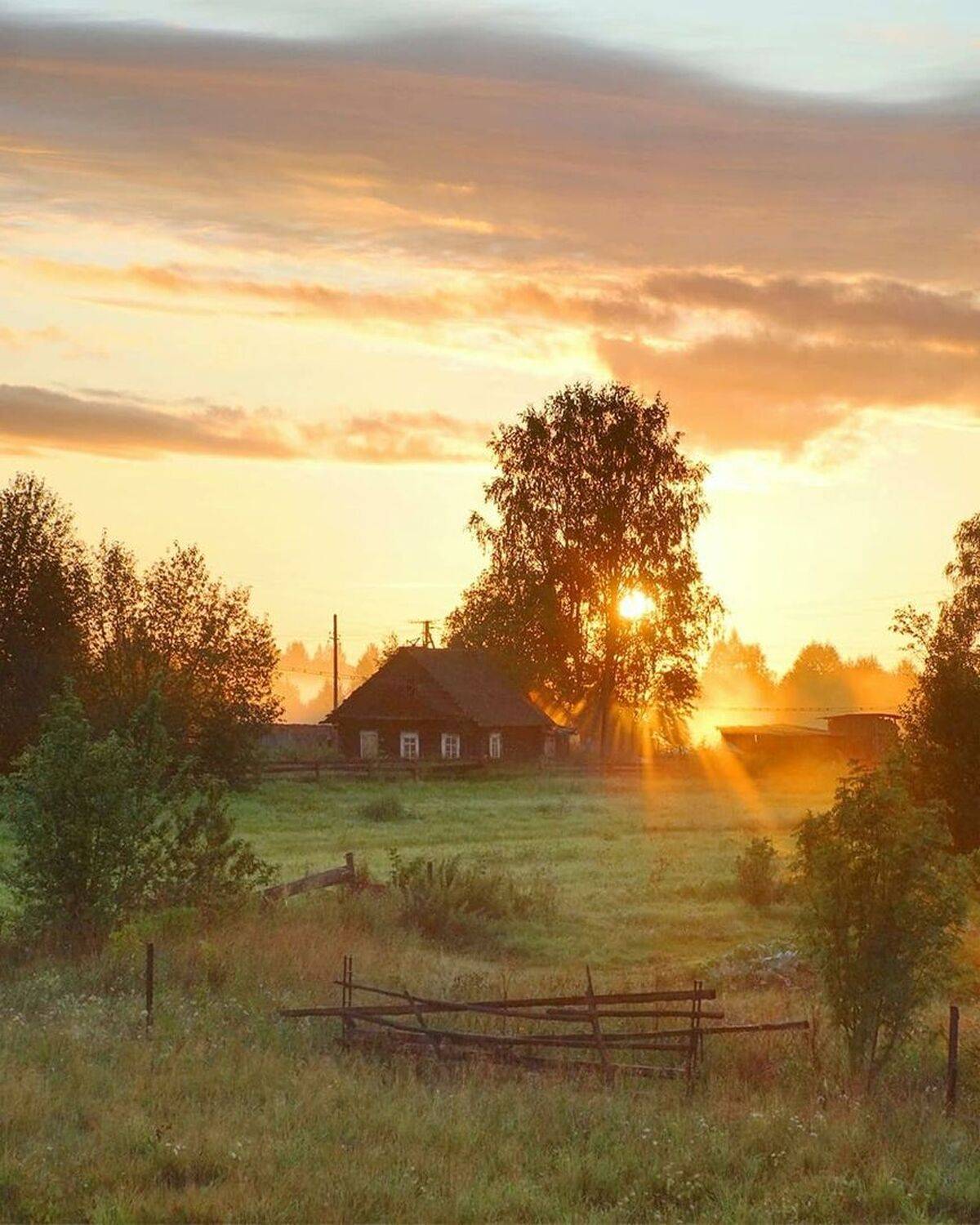 , Петр Косых