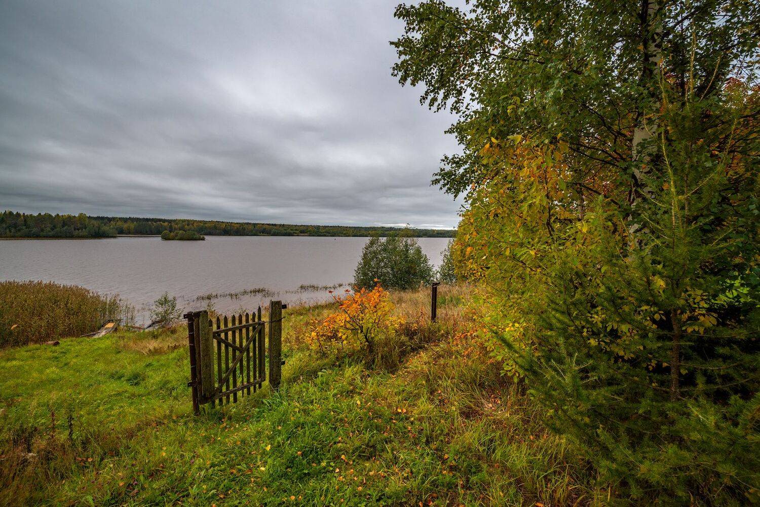 девятины,вологодчина,кема,север, Роман Горячий