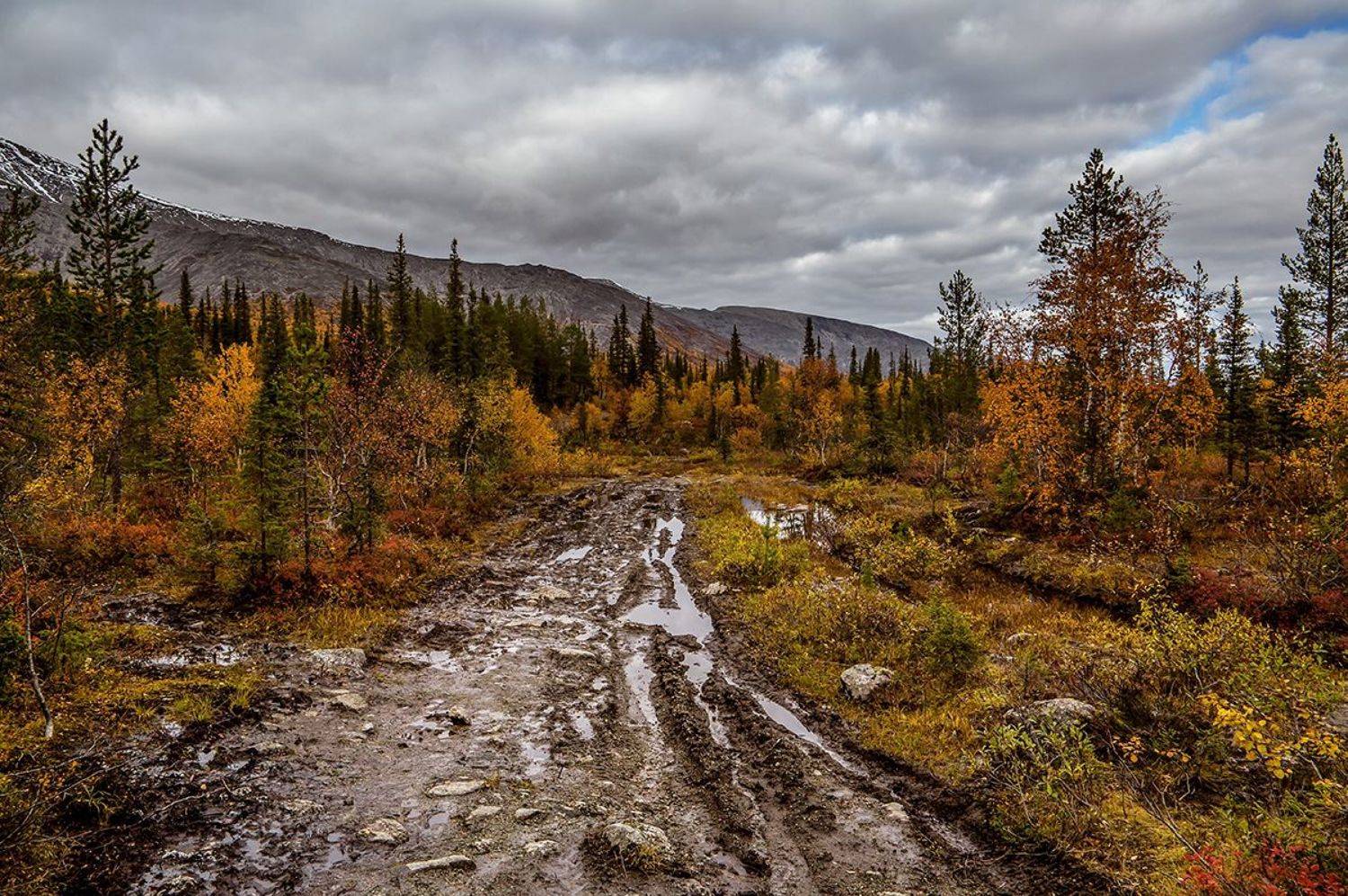 кольский,хибины,дорога,кульпорр, Денисов Игорь