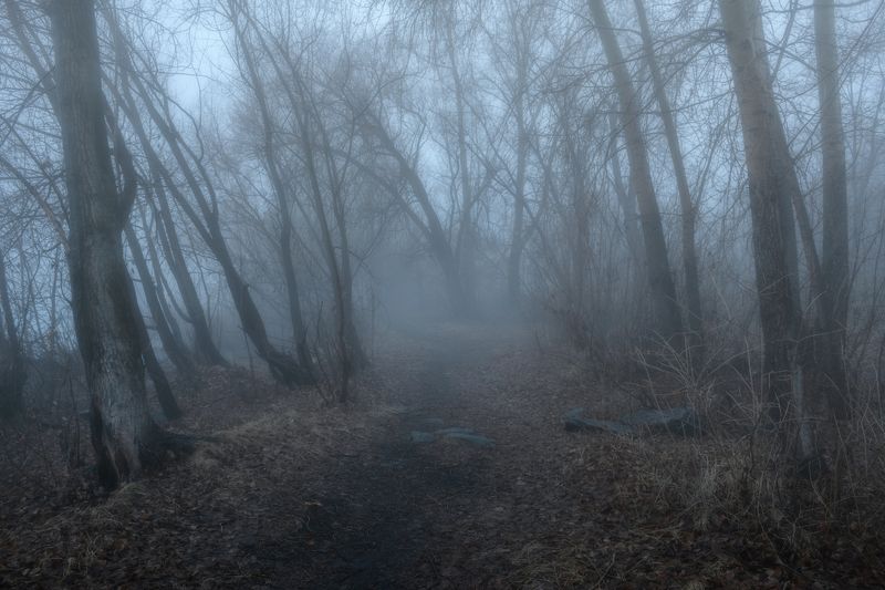Прохладное утро фото превью
