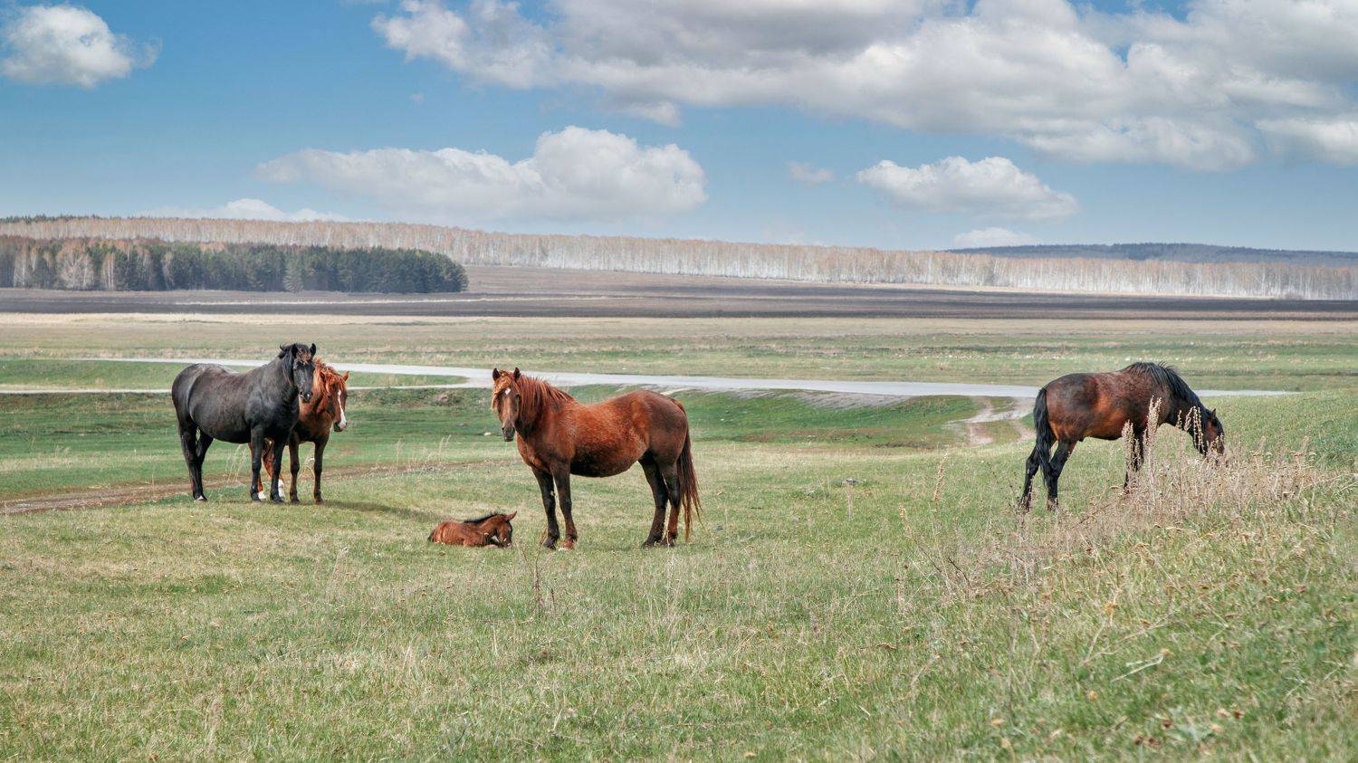южный урал, урал, Вячеслав Болякин