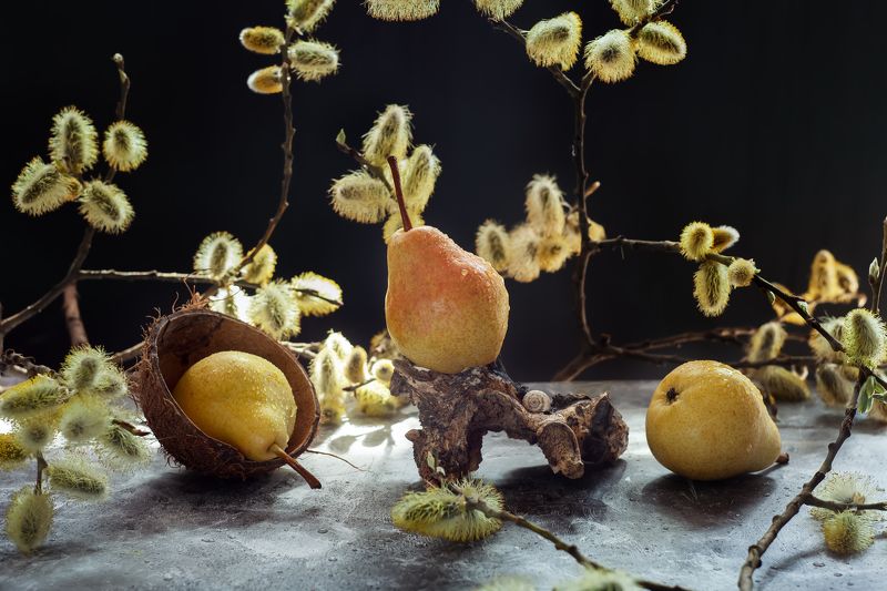 Груши с вербой фото превью