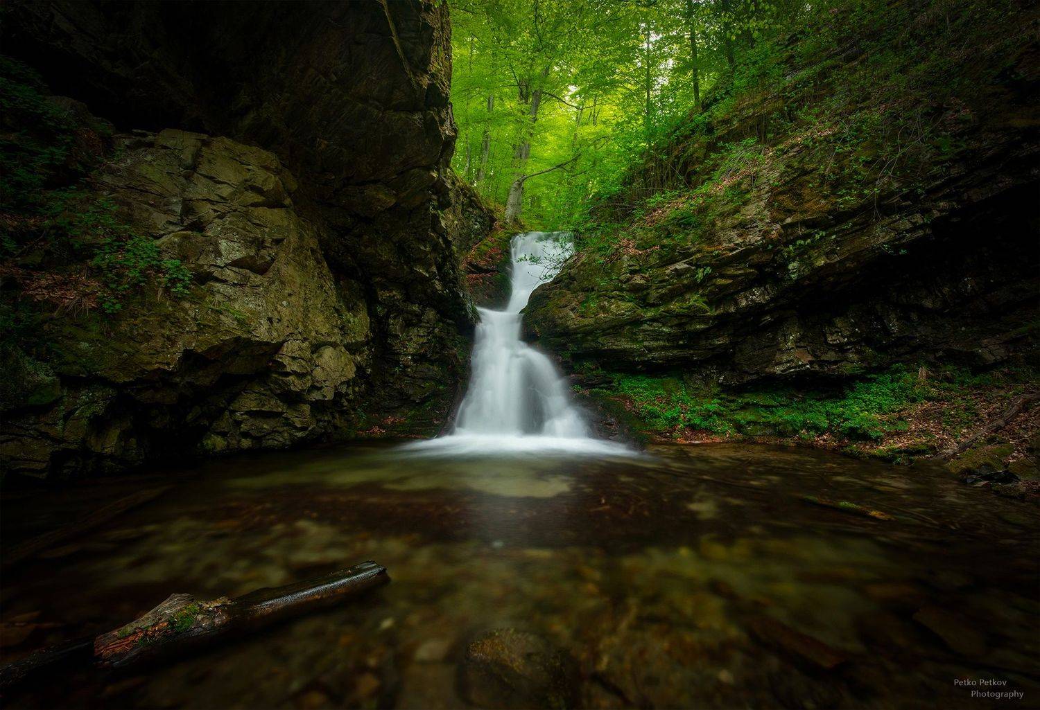 , Петко Петков