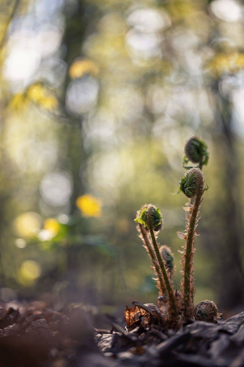 , Кузнецов Дмитрий