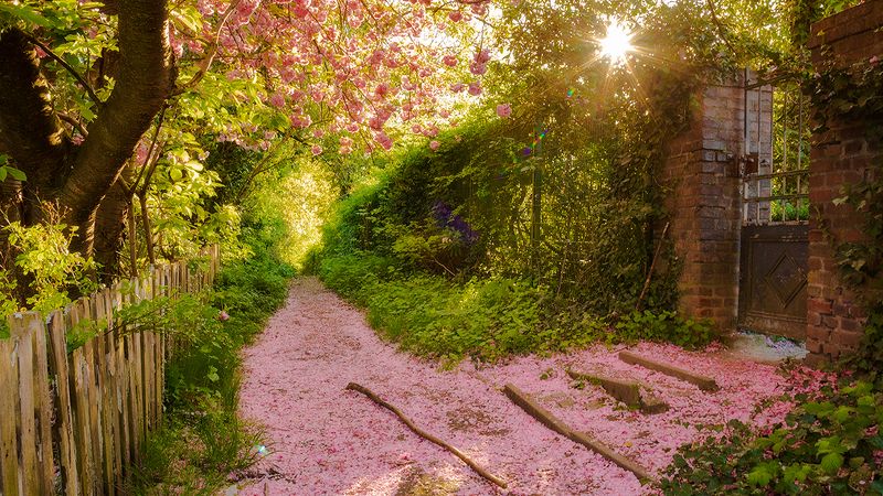 фото превью