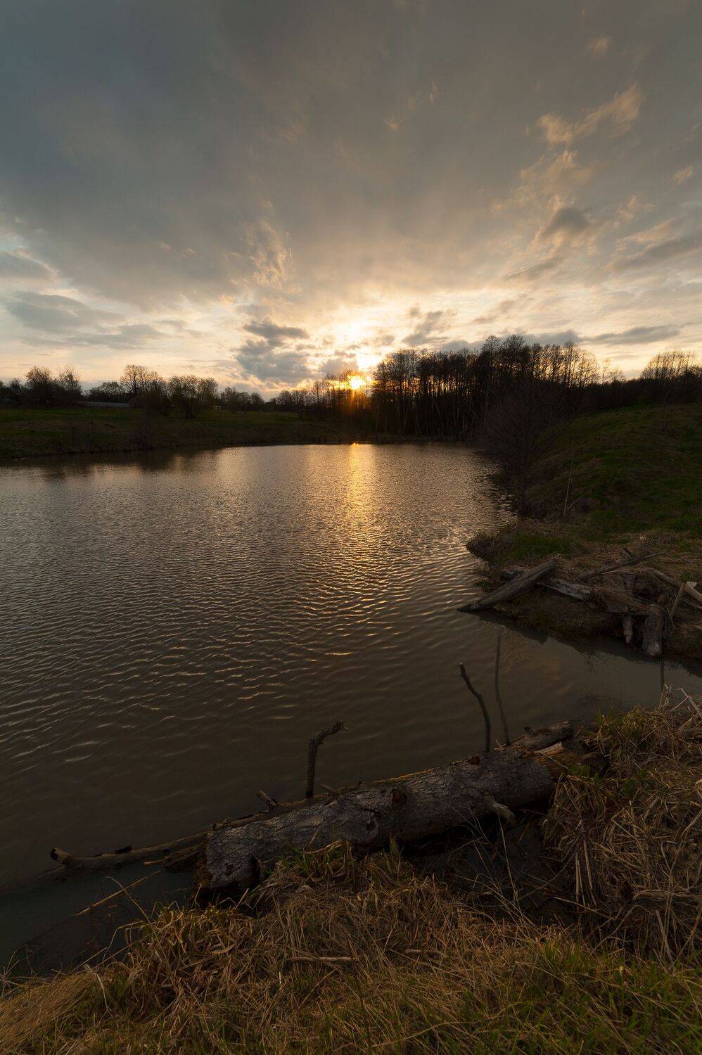 , Виталий Стрельцов