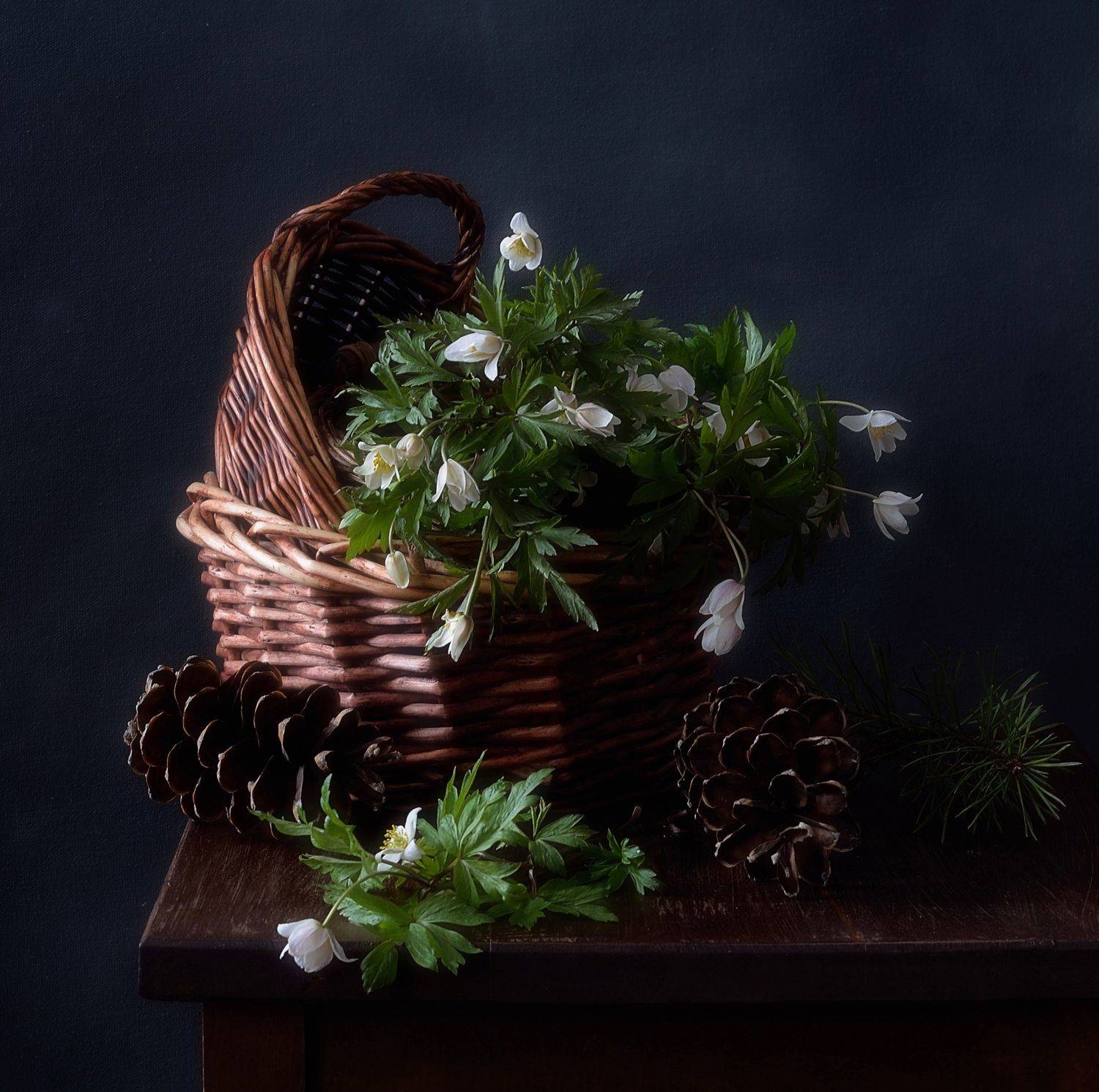 натюрморт,композиция,весна,ветреницы,шишки,природа,цветы,анемоны, Наталия К