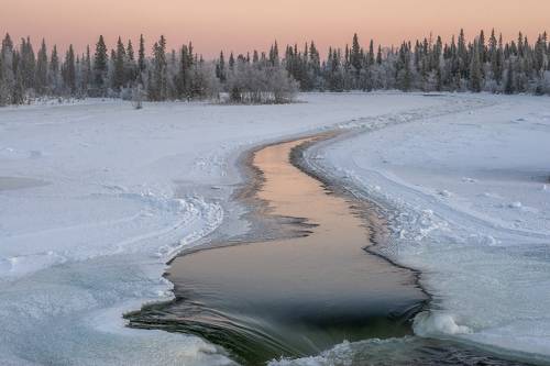Морозная Умба.