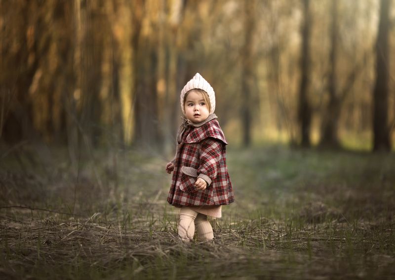 девочка, ребенок, дети, корея, лес, girl, korean, forest, woods, forest, kids, children, baby A step into spring фото превью