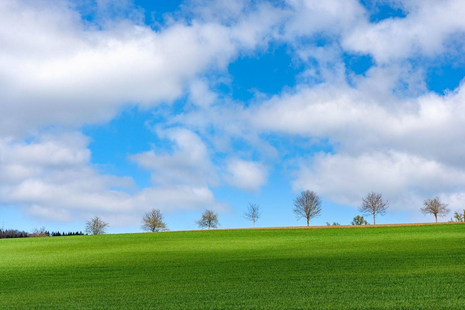 , Руслан Авдевич