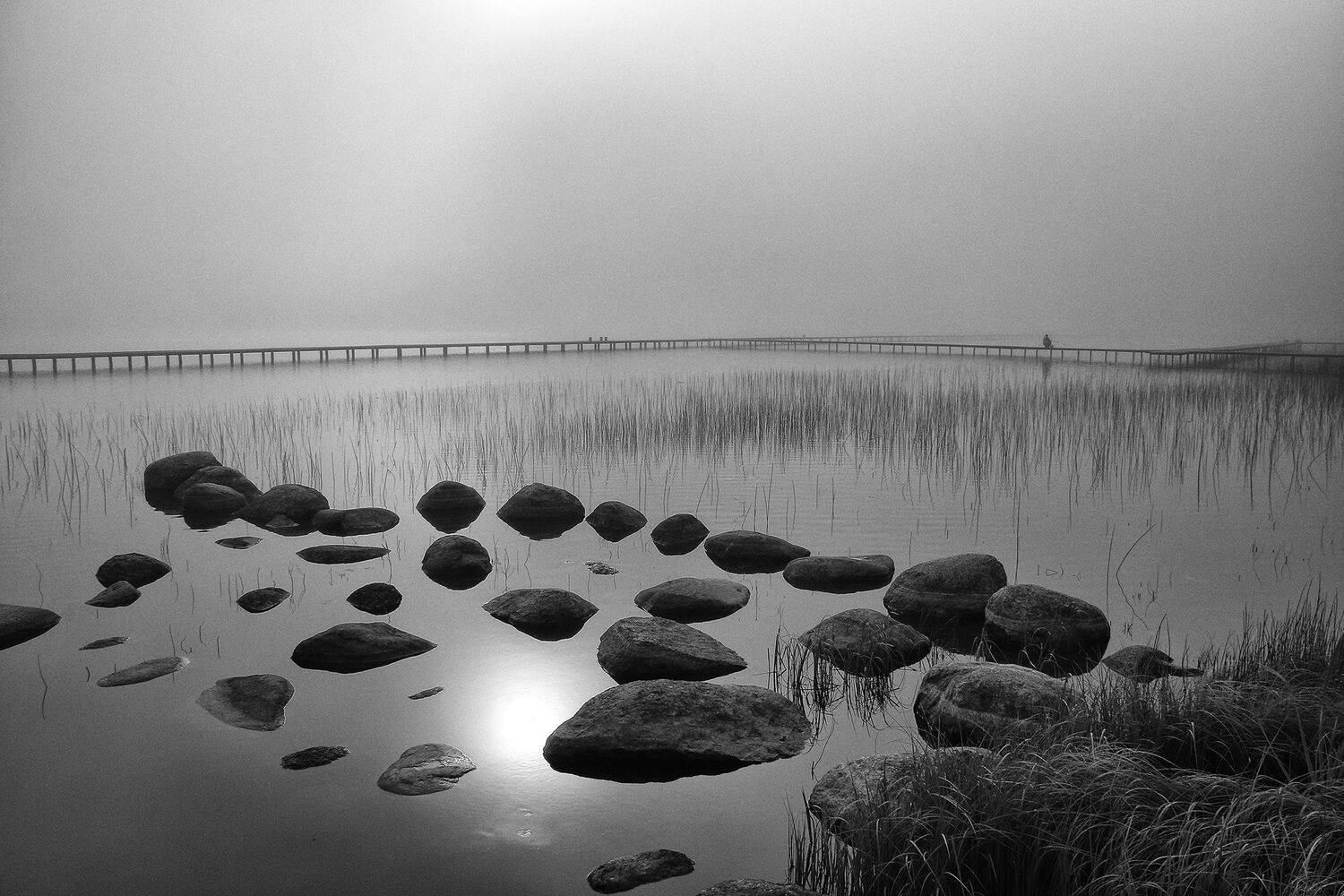 , Елена Лаврова