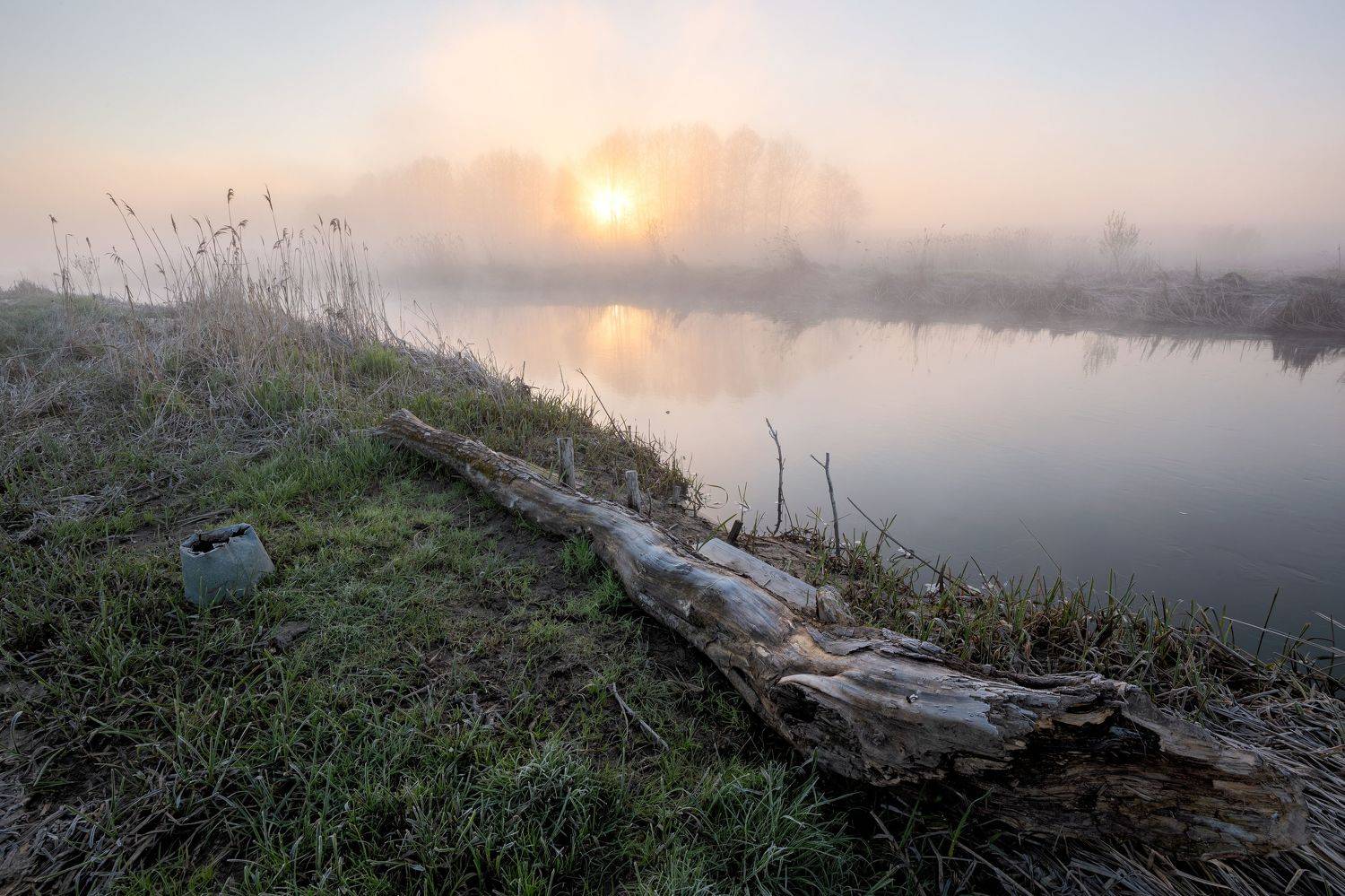 , Александр Бредихин