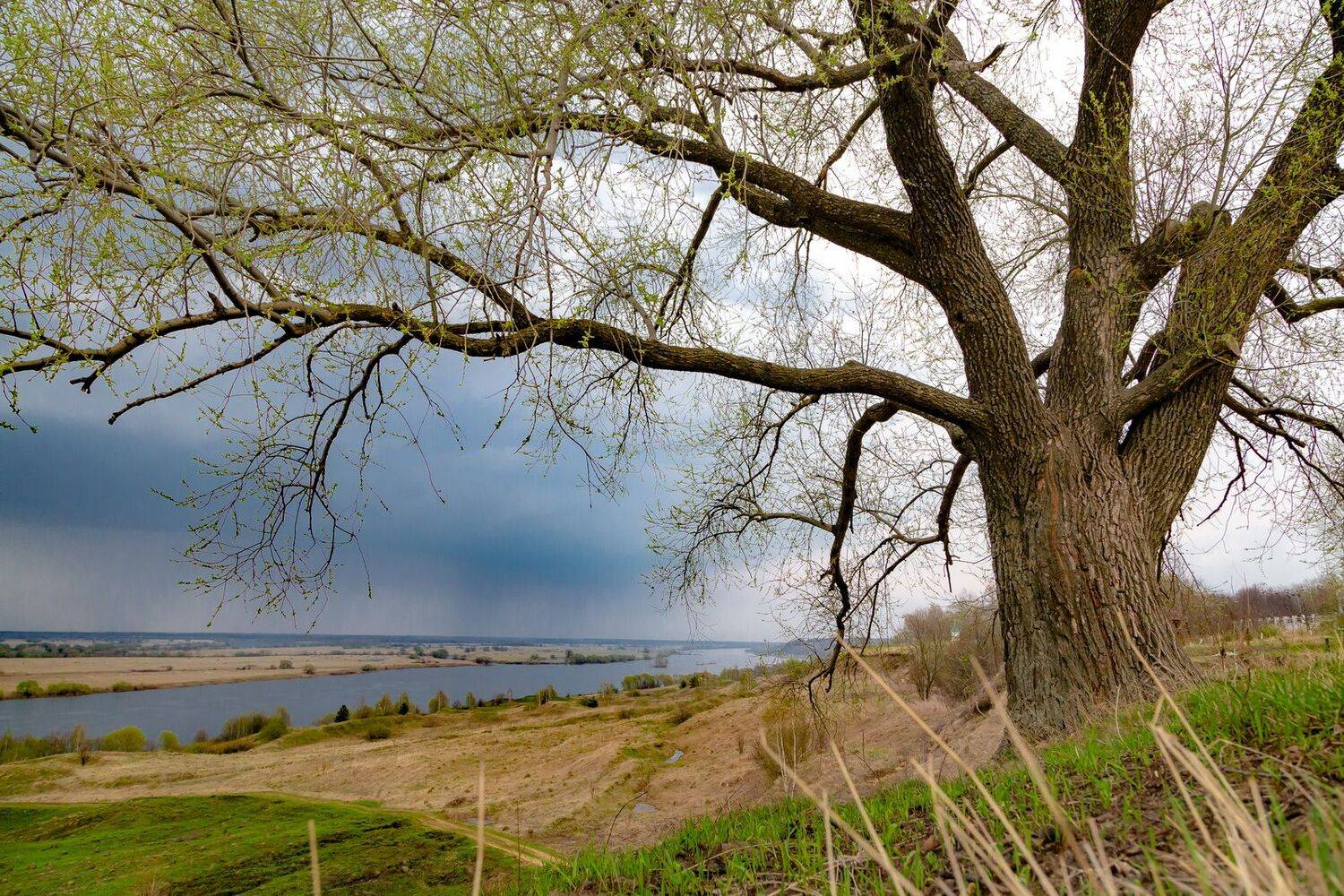 весна, река, простор, пейзаж, Юрий Морозов