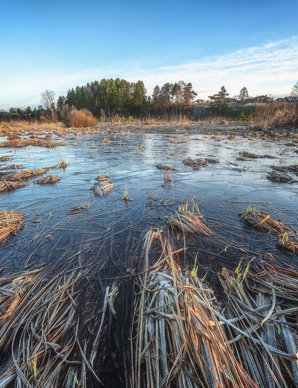 , Николай Андреев