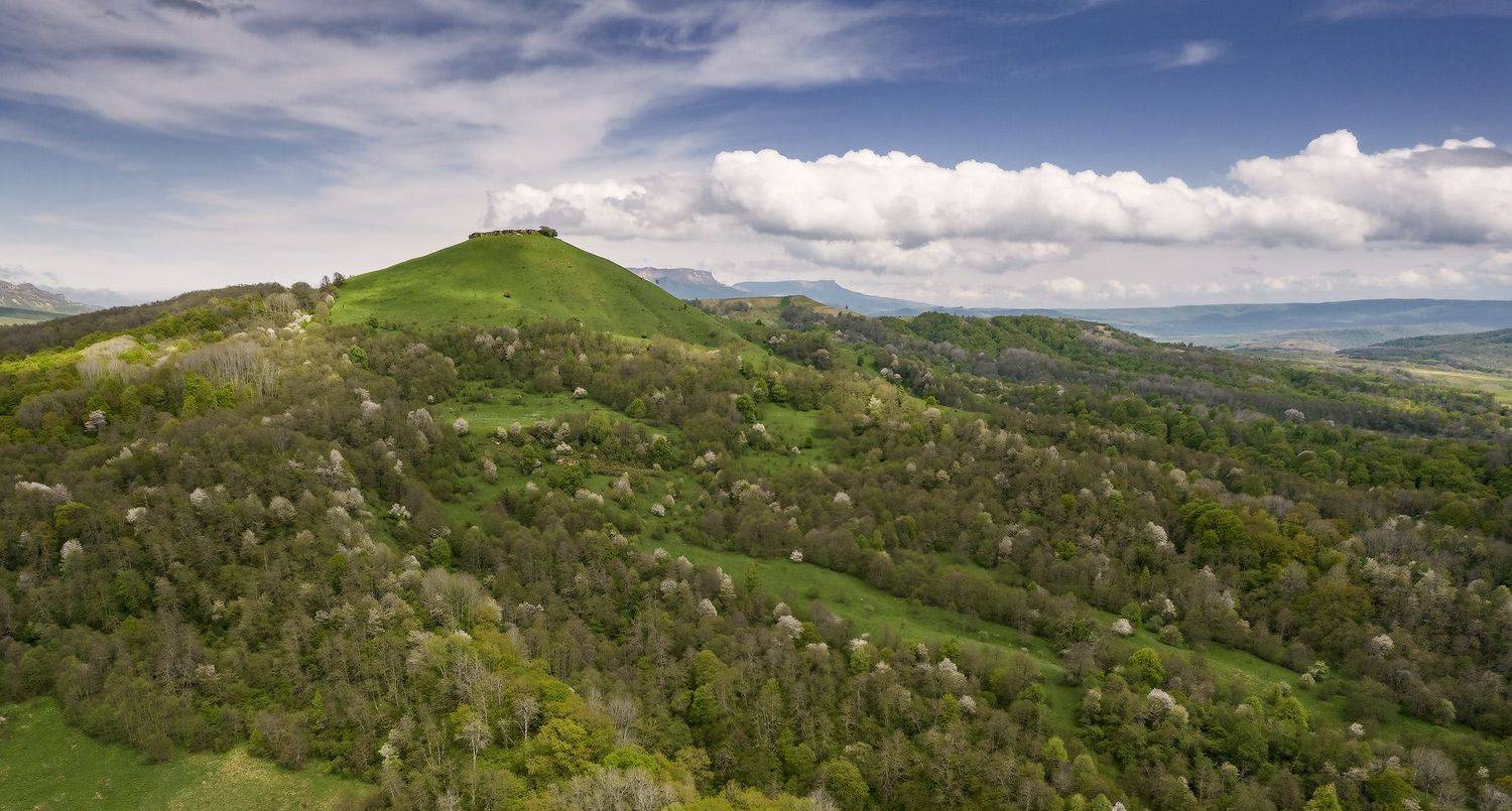 , Борис Пирог