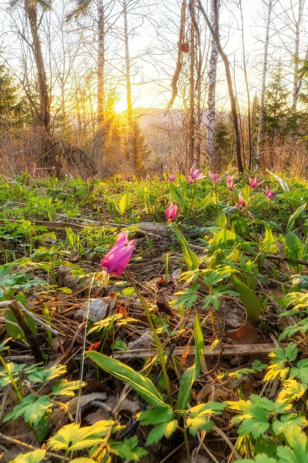 , Нигматуллин Руслан