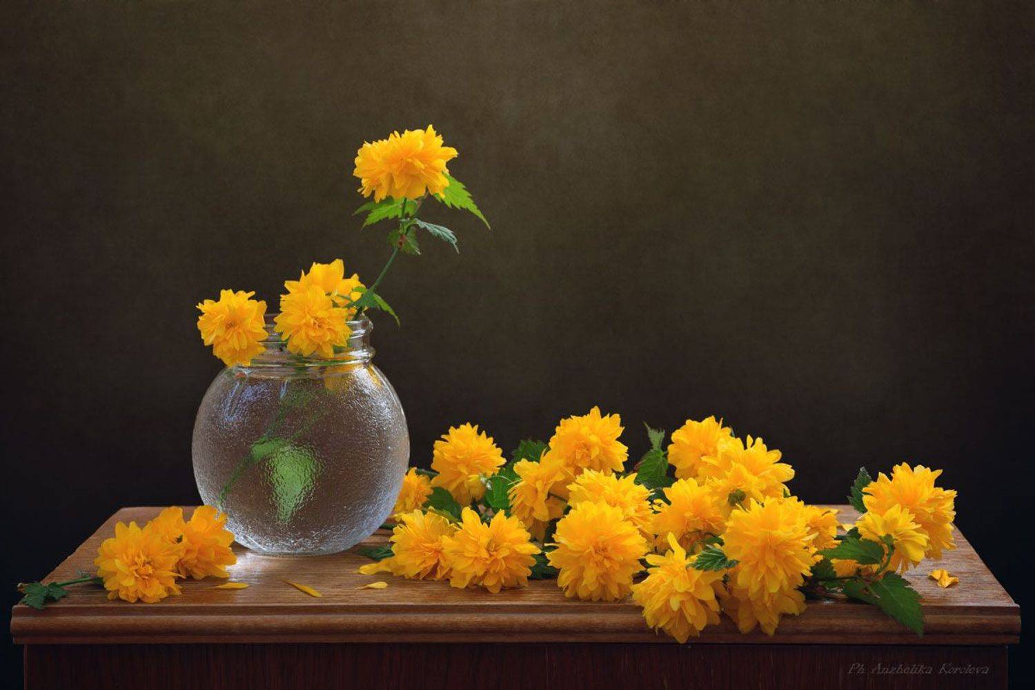 , Анжелика Королева