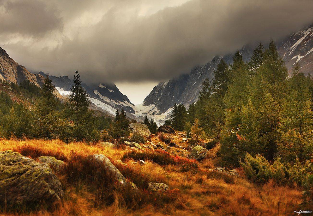 swiss, Матвеев Николай