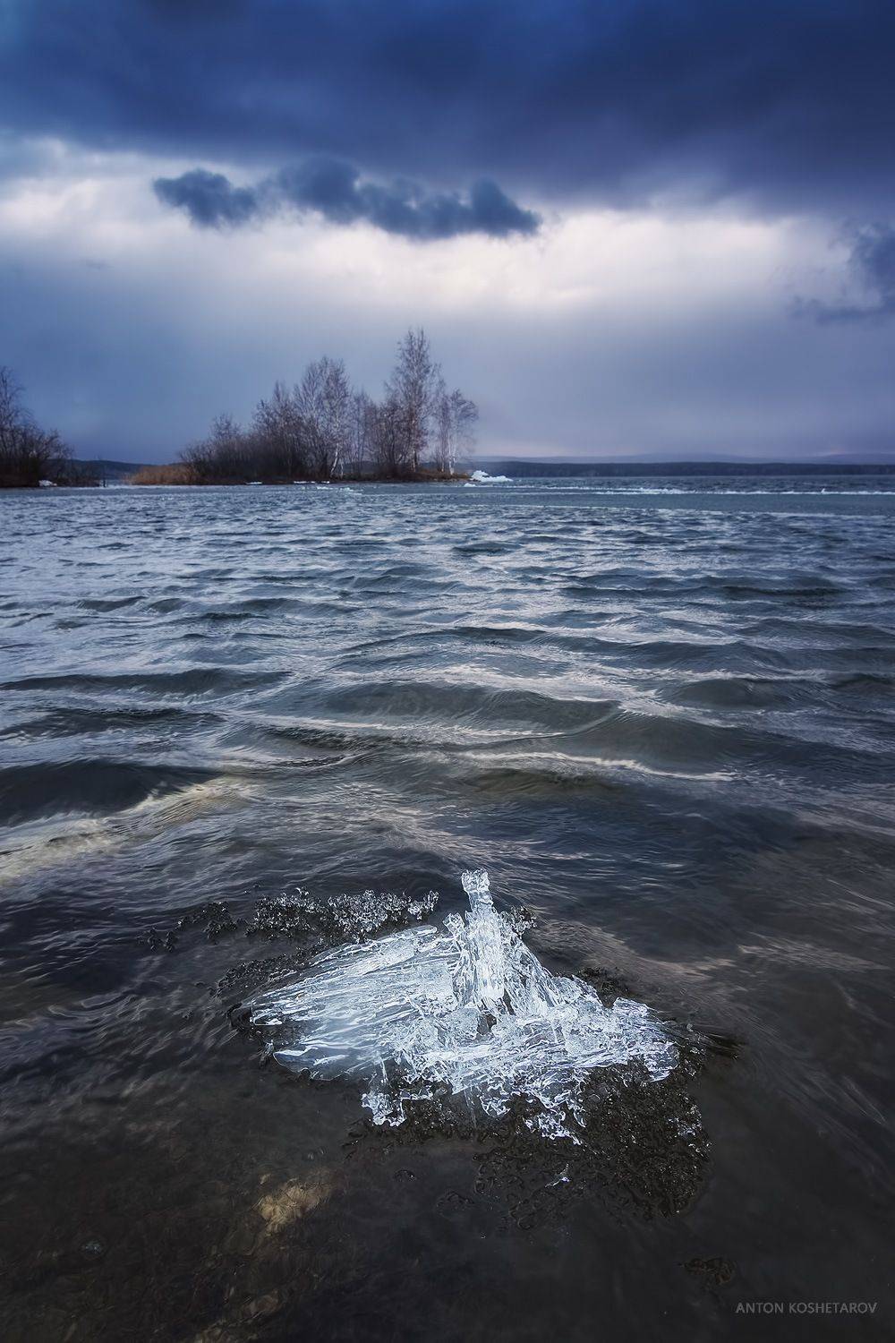 , Антон Кошетаров