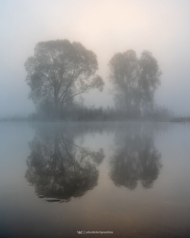 landscape Hazy Butterfly фото превью