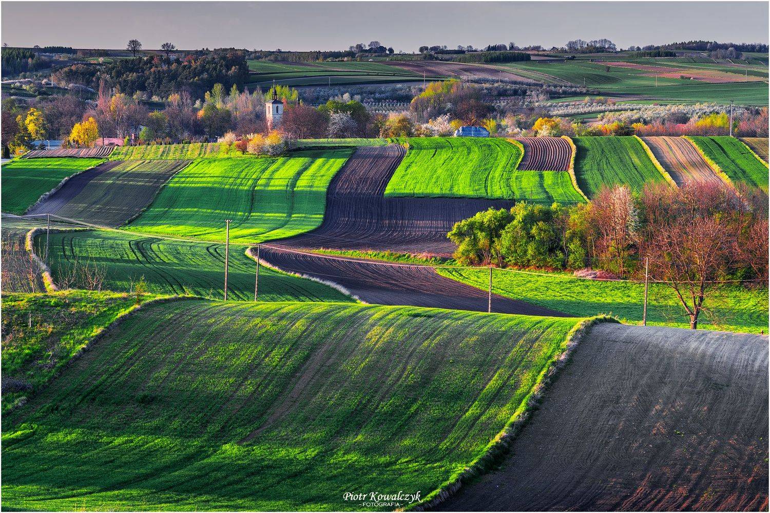 polska, ponidzie, wiosna, Kowalczyk Piotr