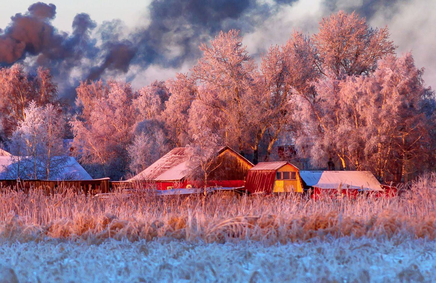 , Алёна Сурнина