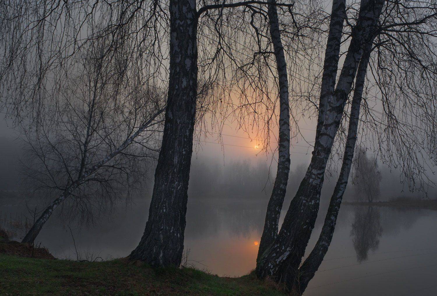 лес, свет, утро, природа, Баранов Олег