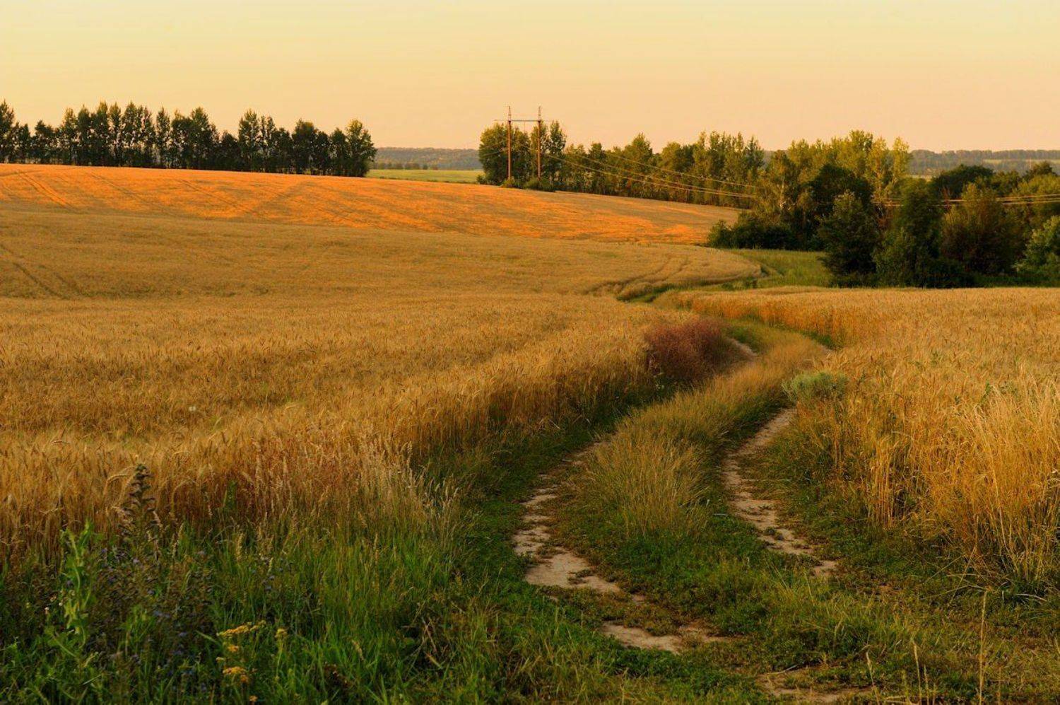 , Андрей Балабин