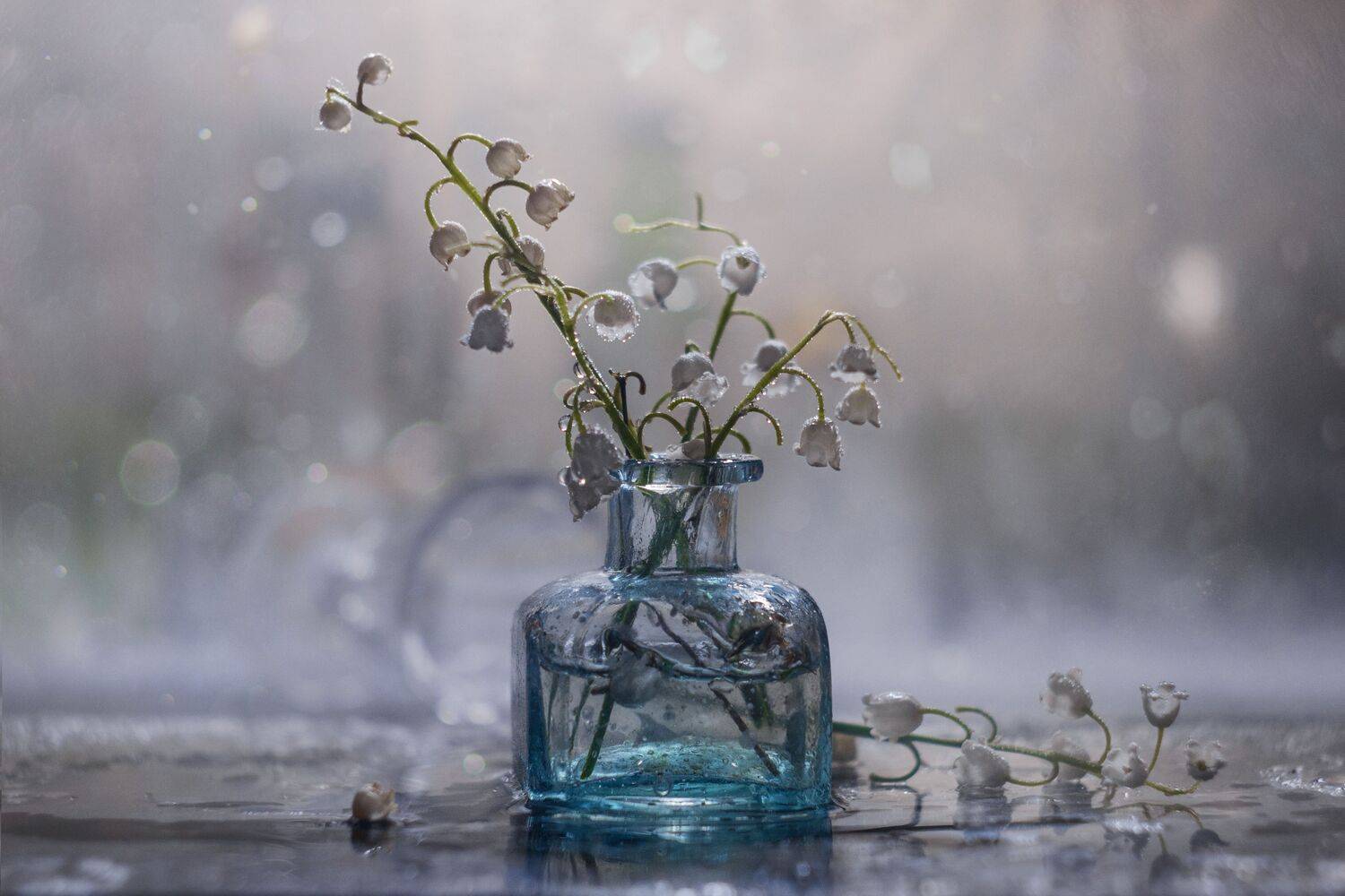 , Владимир Осауленко