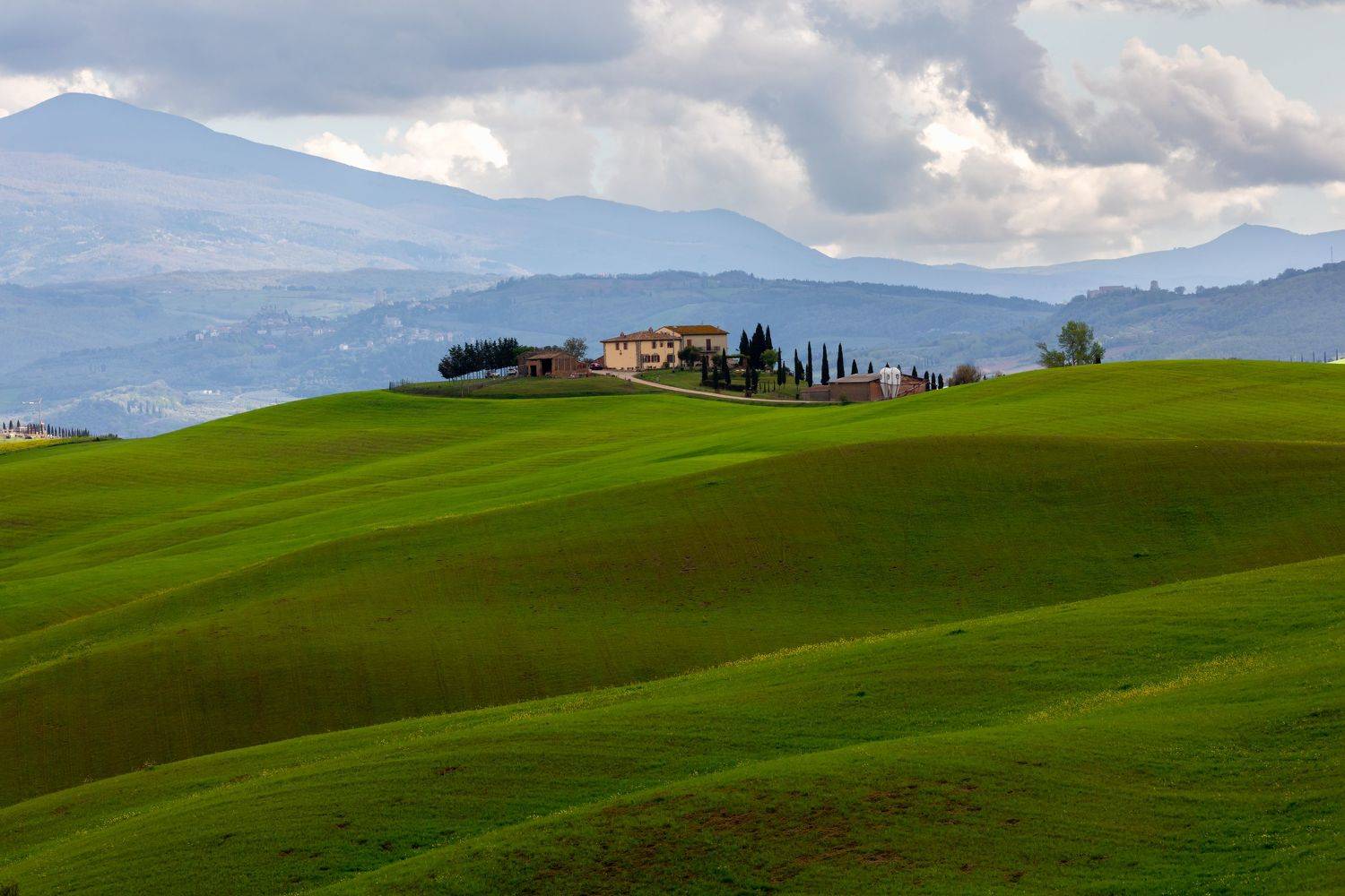 , Евгения Чех