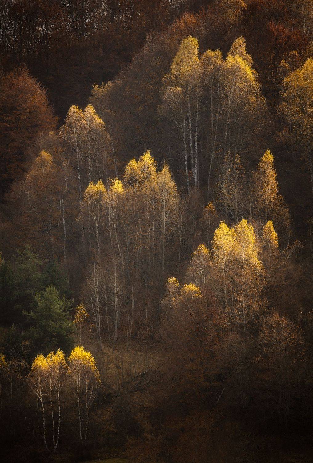 , Radoslav Sviretsov