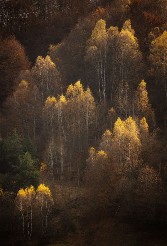 Golden peaks фото превью