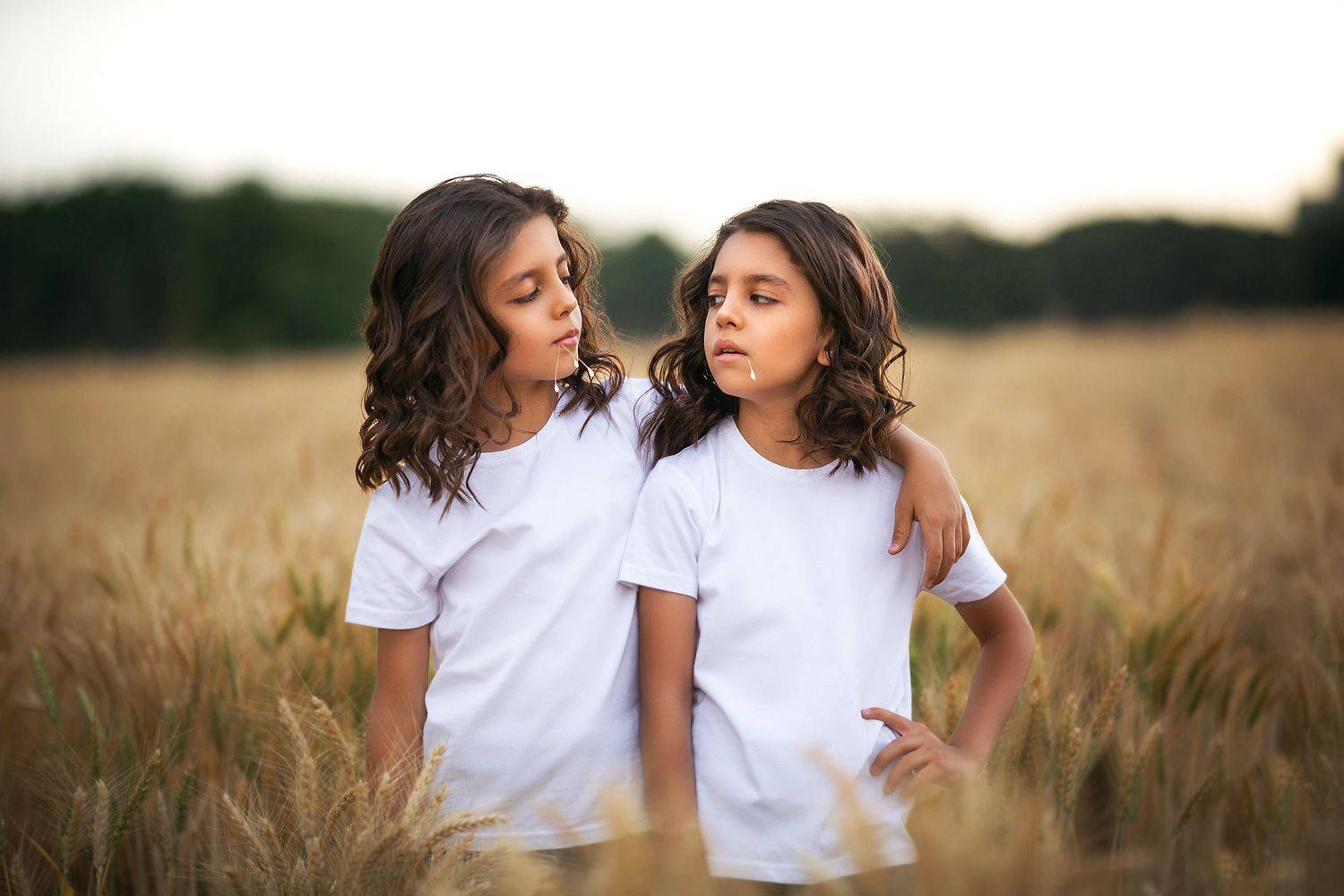 twin, fine art, Seyed Mehdi Taghavi