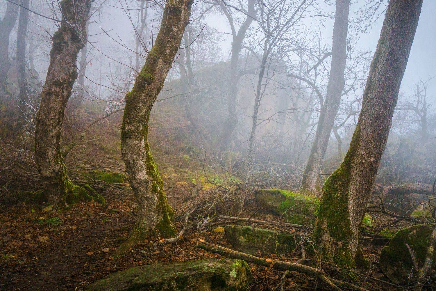туман, кмв, развалка, пейзаж же, Максим