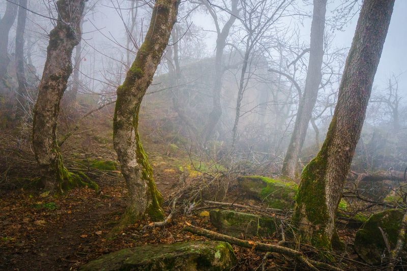 туман, кмв, развалка, пейзаж же ***** фото превью