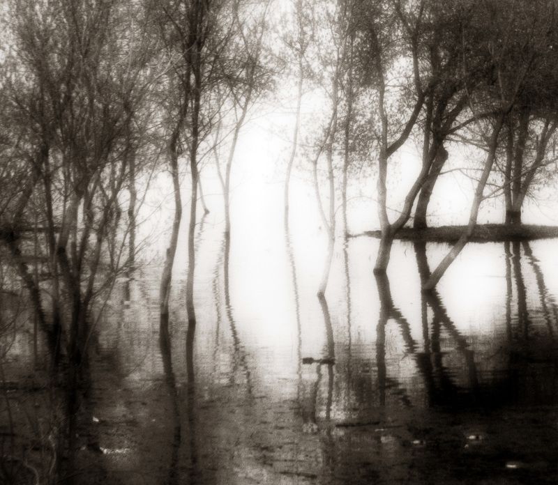 Весенняя мелодия фото превью