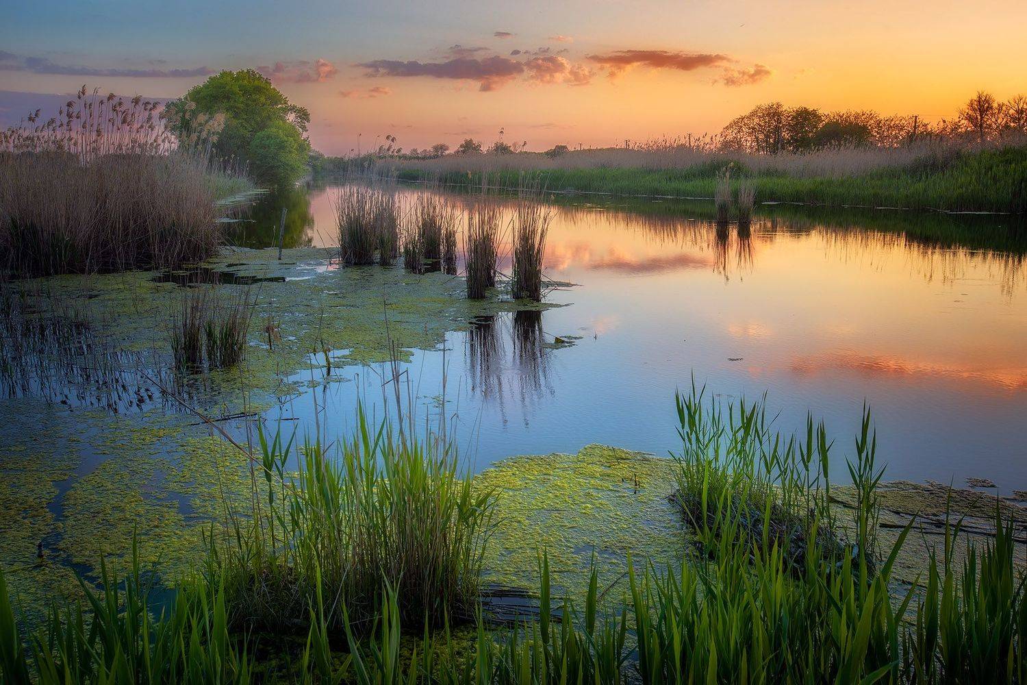 , Александр Костенко