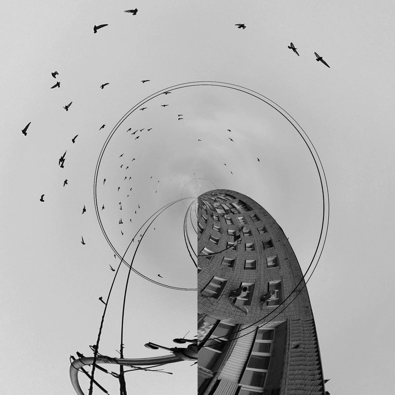 miracle building, abstract, abstraction, b&w, birds. \