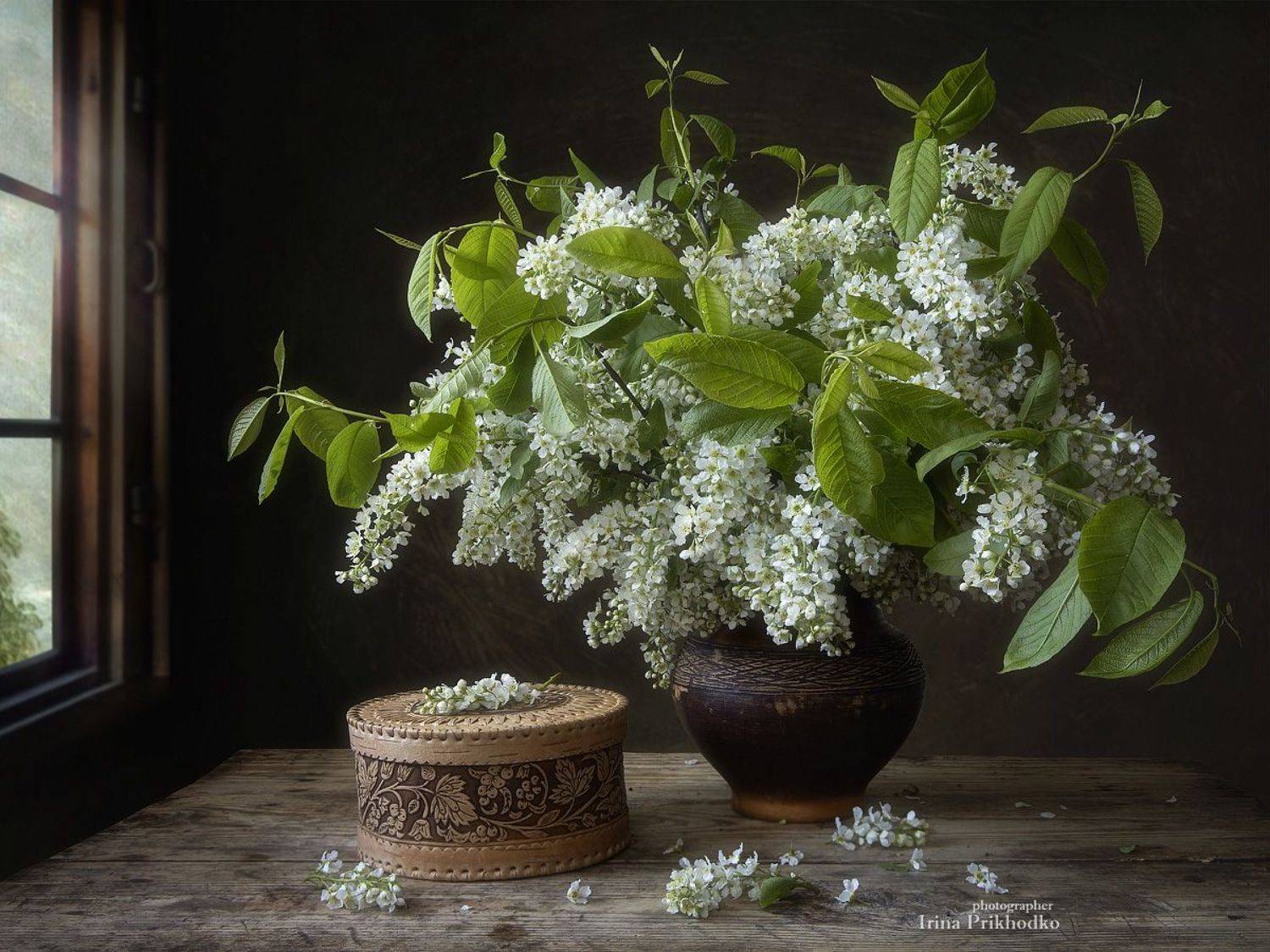 натюрморт, фотокартина, фотонатюрморт, цветы, весна, черемуха, букеты, цветы, Приходько Ирина
