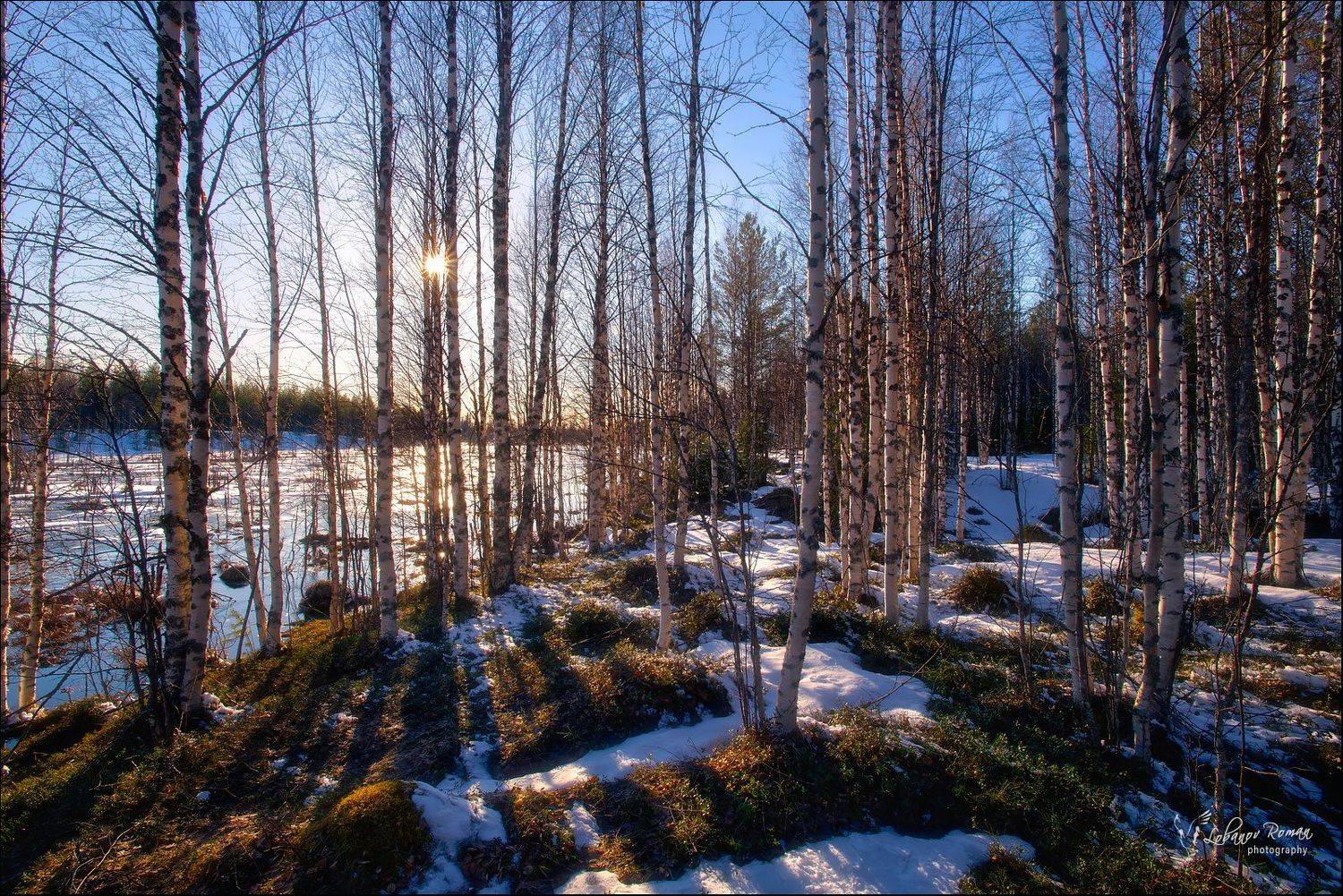 , Лобанов Роман