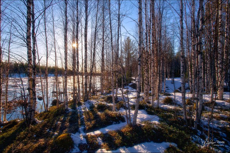 Весна в Карелии фото превью