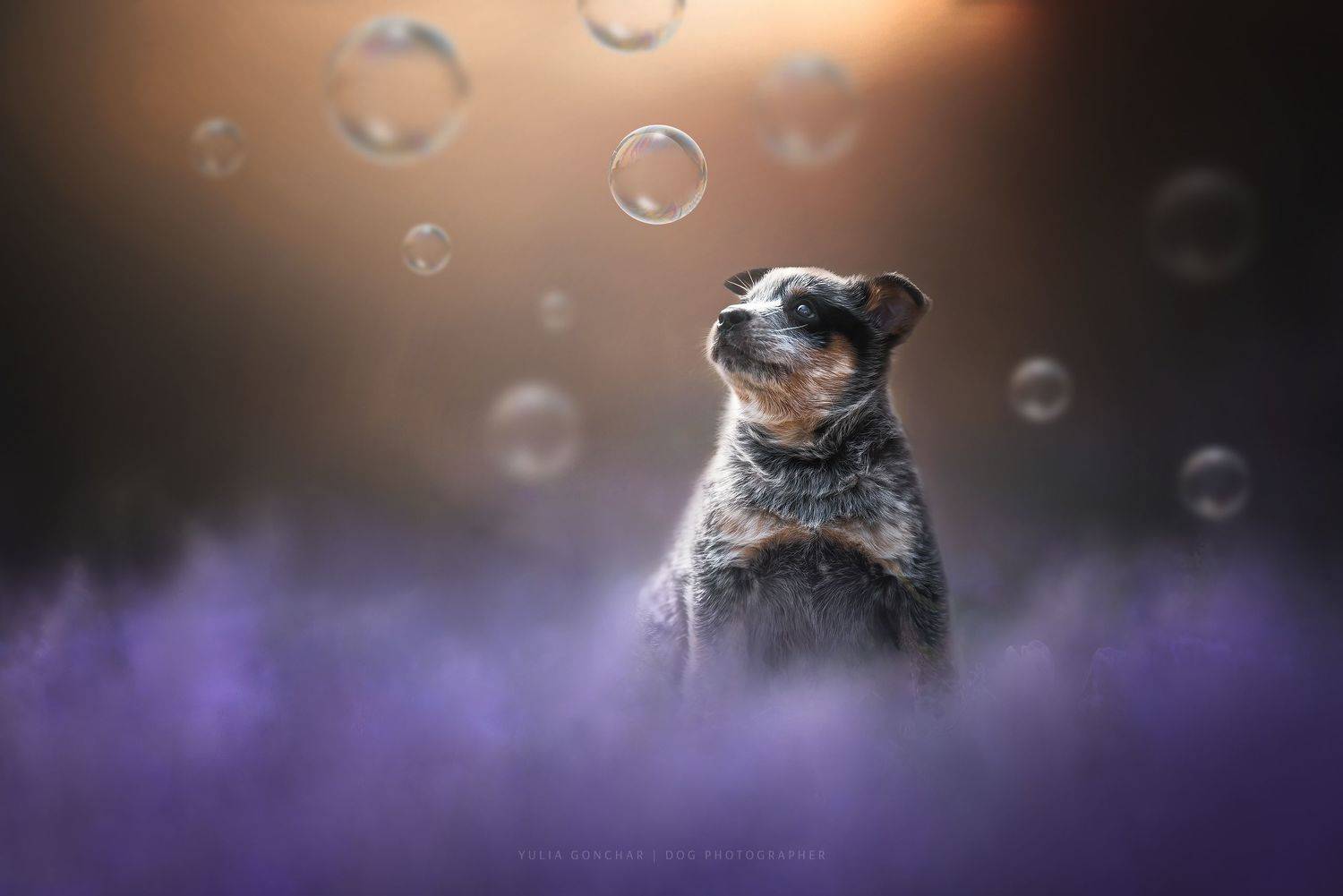 , Юлия Гончар