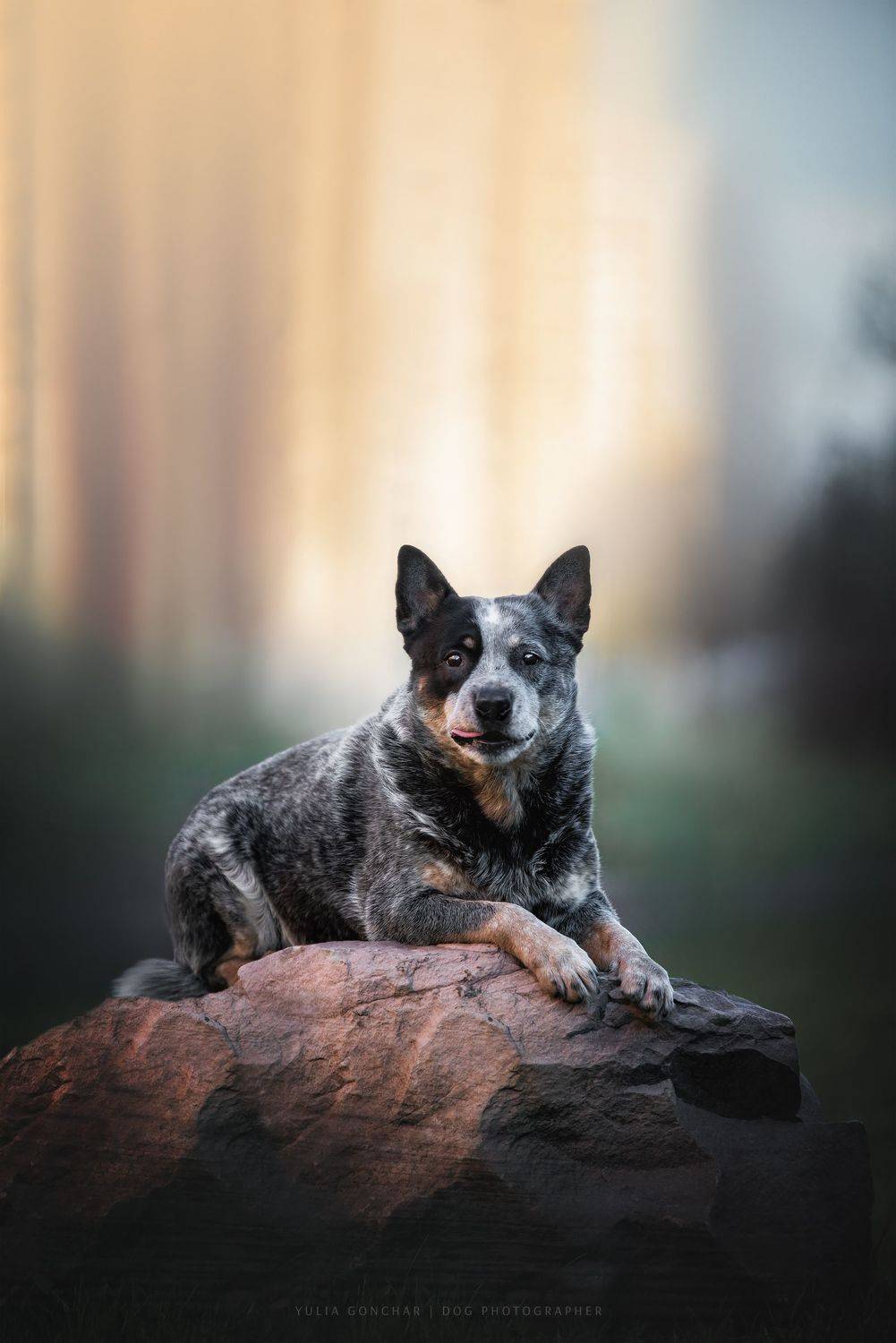 , Юлия Гончар