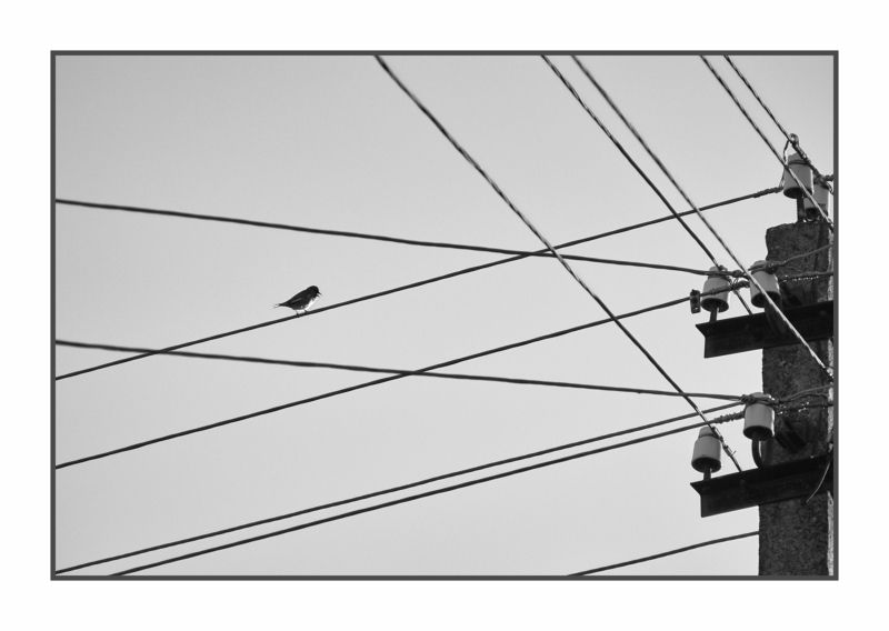 offline фото превью