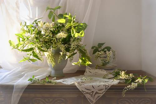 Где черёмуха цветёт...