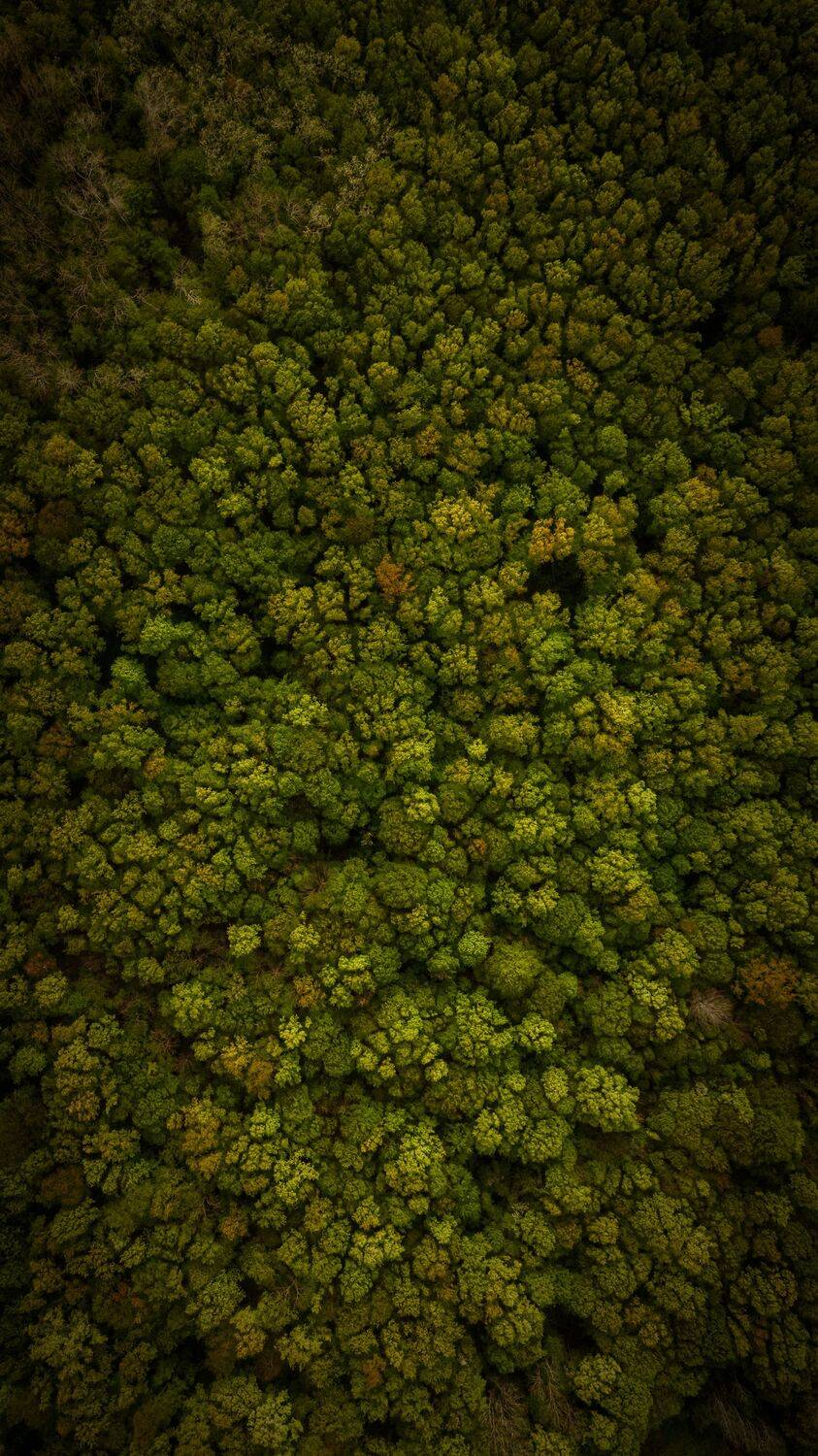 , Павел Сагайдак