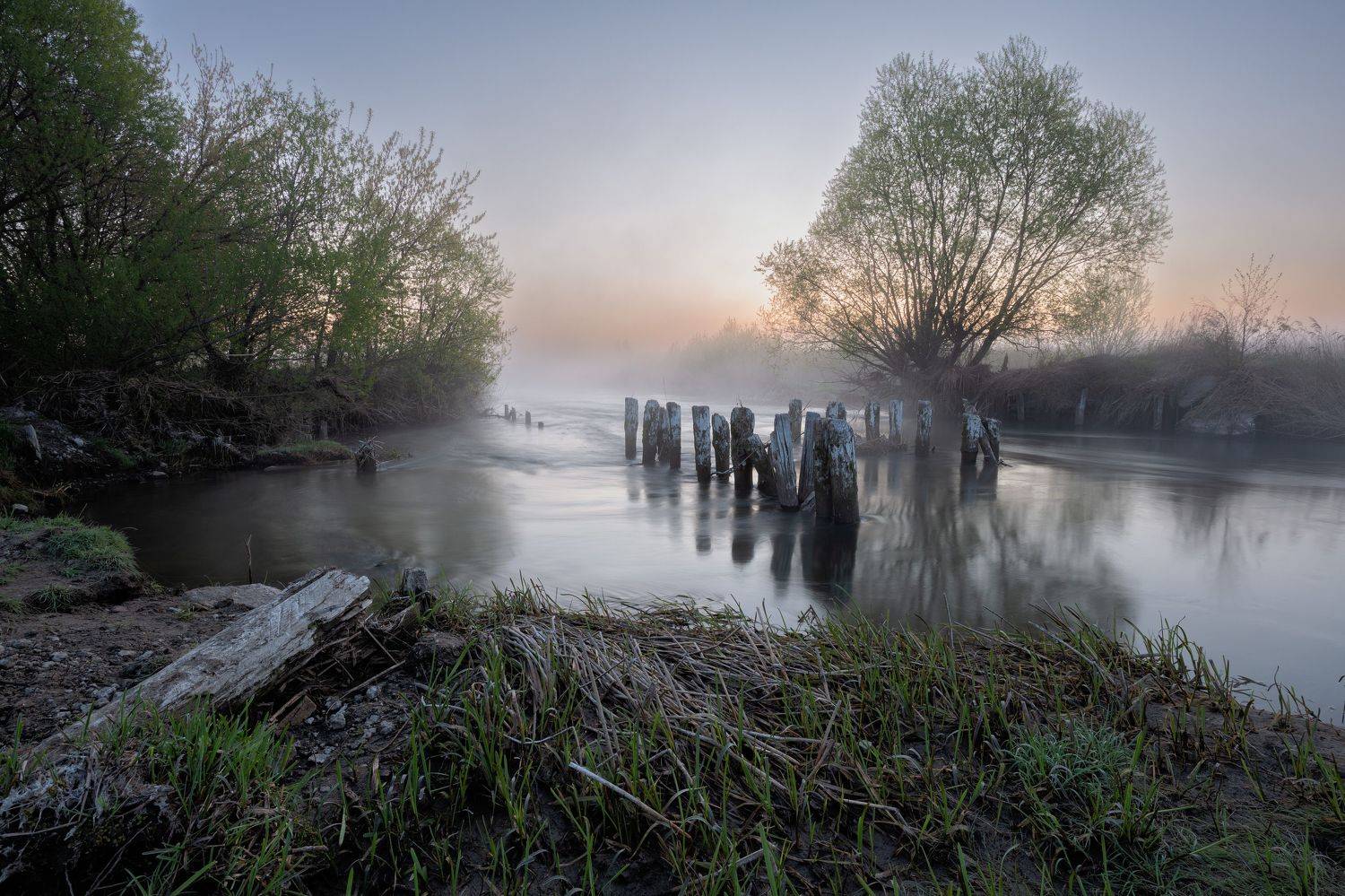 , Александр Бредихин