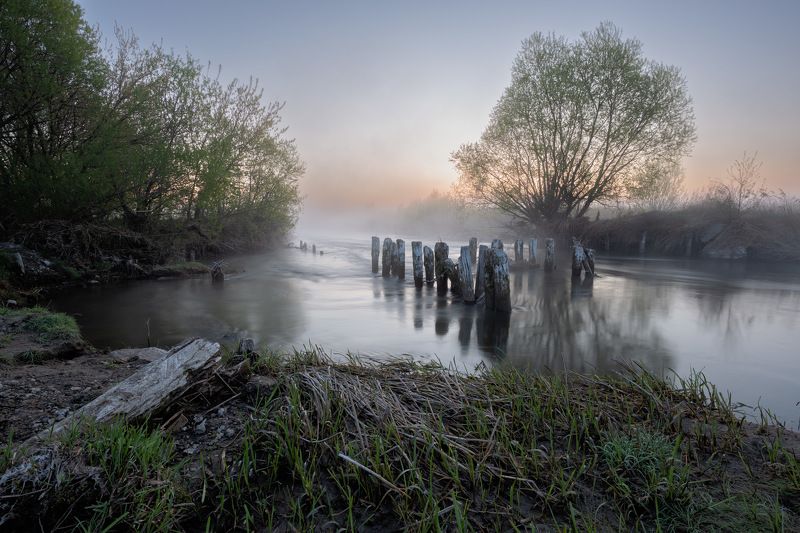 Пробуждающее утро фото превью