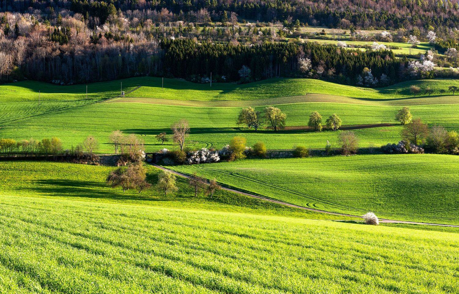 , Руслан Авдевич